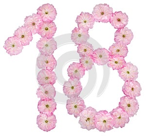 Numeral 18, eighteen, from natural pink flowers of almond tree, isolated on white background