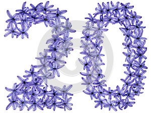 Numeral 20, twenty, from natural flowers of hyacinth, isolated on white background