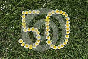 Numeral 50 of blossoms in a meadow