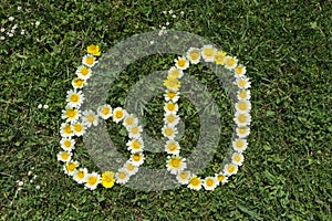 Numeral 60 of blossoms in a meadow