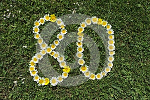 Numeral 80 of blossoms in a meadow