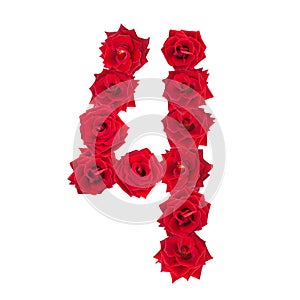Numeral 4 made of red roses on a white isolated background. Element for decoration. Red roses