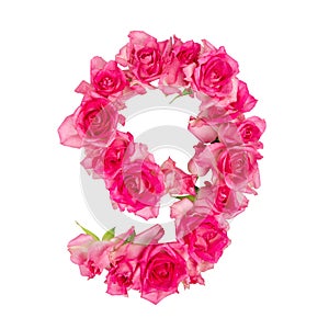 Numeral 9 made of roses on a white isolated background. Element for decoration