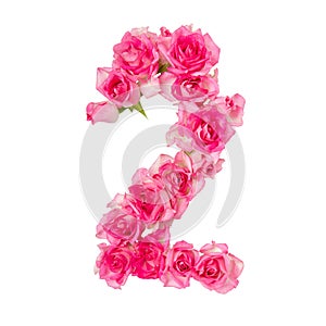 Numeral 2 made of roses on a white isolated background. Pink roses. Element for decoration