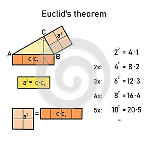 Numerical and graphical representation of Euclid\'s theorem on the side of a right triangle