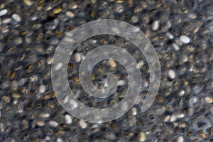 numerous dried or dehydrated chia seeds spread evenly.  blurred image