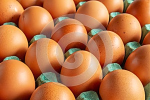 Numerous eggs organized in rows. Concept of organization and power. Organic food