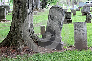 Numerous headstones standing tall in memory of lost ones, Oakwood Cemetery, Chittenango, New York, 2019