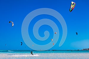 Numerous kites in the blue sky over the Red sea.