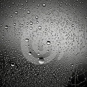 Numerous water droplets of varying sizes are dispersed across a smooth, reflective