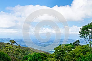 Numinbah Valley