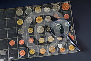 Numismatic album page with coins with images of animals. Thematic collection