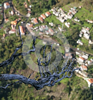 Nun`s Valley, Madeira. photo