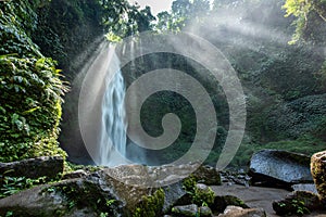 Nungnung Waterfall, Bali, Indonesia photo