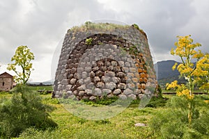 Nuraghe tower sardinia Italy photo