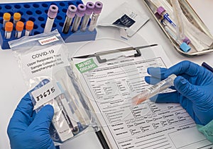 Nurse analyses positive PCR tests of covid-19 in a hospital laboratory