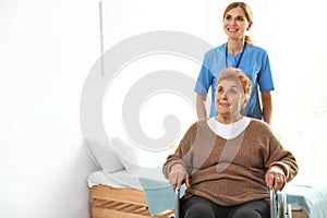 Nurse assisting elderly woman in wheelchair. Space for text