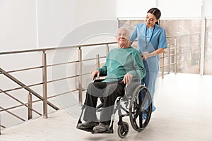 Nurse assisting senior man in wheelchair