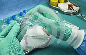 Nurse breaks anesthesia vial, preparation to extract cerebrospinal fluid to investigate causes in a person affected by transverse photo