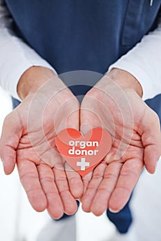Nurse, hands and heart for organ donor, transplant and good deed for healthcare, medical service and work. Doctor