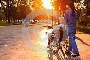 A nurse and an old man who sits in a wheelchair strolling in the park at sunset