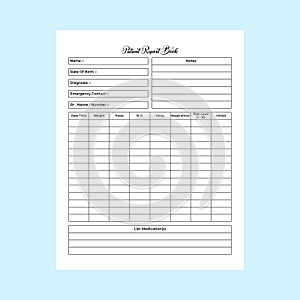 Nurse patient report journal KDP interior. Nurse patient admission info tracker and medicine logbook template. KDP interior