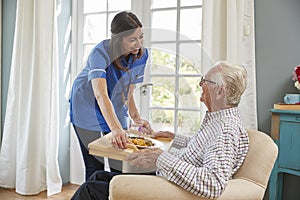 Nurse serving dinner to a senior man in an armchair at home