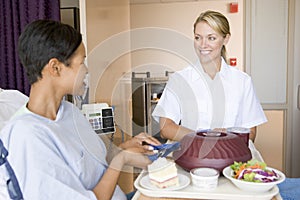 Nurse Serving A Patient A Meal In Her Bed