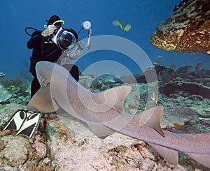 Enfermero tiburón contra fotógrafo 
