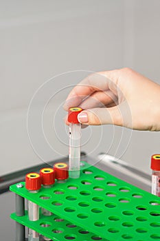 Nurse takes empty blood test tube