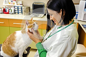 Nurse / vet giving care and attention to a pet