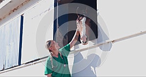 Nurse, woman and horse with care at farm with touch, smile and happy for helping with love. Doctor, veterinary person