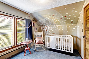 Nursery room with murals