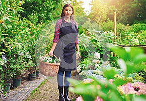 Nursery worker gathering flowers for sale