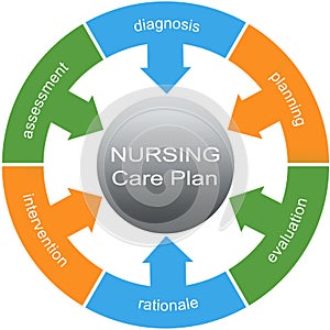 Nursing Care Plan Word Circle Concept