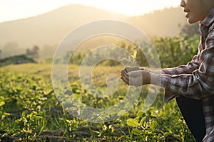 Nurturing baby plant on hand agriculture concept..