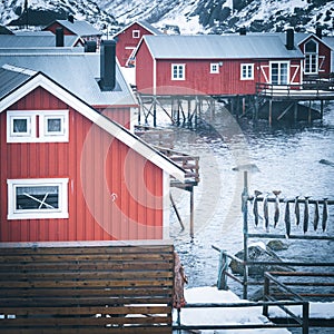 Nusfjord, red rorbuer and stockfish