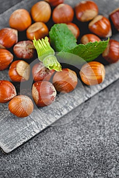 Nut abundance. Hazelnuts on a wooden board on a gray slate background. Fresh harvest of hazelnuts. Farmed organic ripe