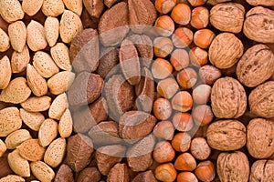 Nut arrangement