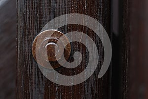 Nut bolt with macro look and blur in round wood with a dark brown wood look