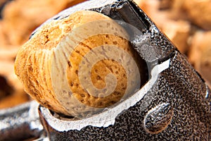 Nut Close up
