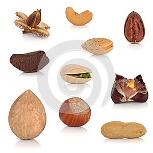 Nut Collection