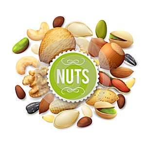 Nut Collection Illustration photo