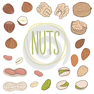 Nut collection. Walnuts, almonds, pistachios, peanuts, hazelnuts. Set of vector hand drawn nuts, shelled and whole.