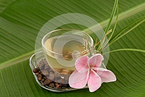 Nut grass, Coco grass Cyperus rotundus L. tea for health.