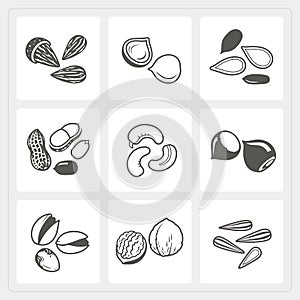 Nut icons set