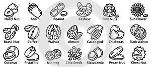 Nut icons set, outline style