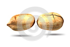 Nut isolated on white background, seed pattern, macro. detail texture pattern, seed texture, cereal food