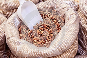 nut kernel bulk photo