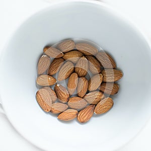 Nut protien dry almond